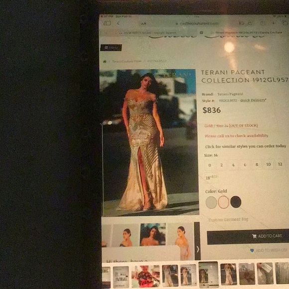 Terani Couture beaded beautiful, detailed dress for weddings, special occasions - Picture 9 of 13